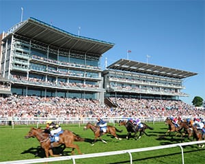 York Races at York Racecourse